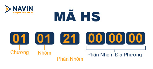 Ảnh dịch vụ navin